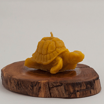 Yazla Arı Çiftliği Kaplumbağa Mum