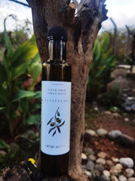 Yazla Arı Çiftliği Soğuk Sıkım Erken Hasat Zeytinyağı 250 mL