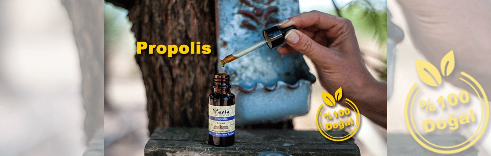 Propolis